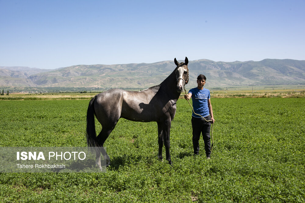 زندگی روستایی در خراسان شمالی