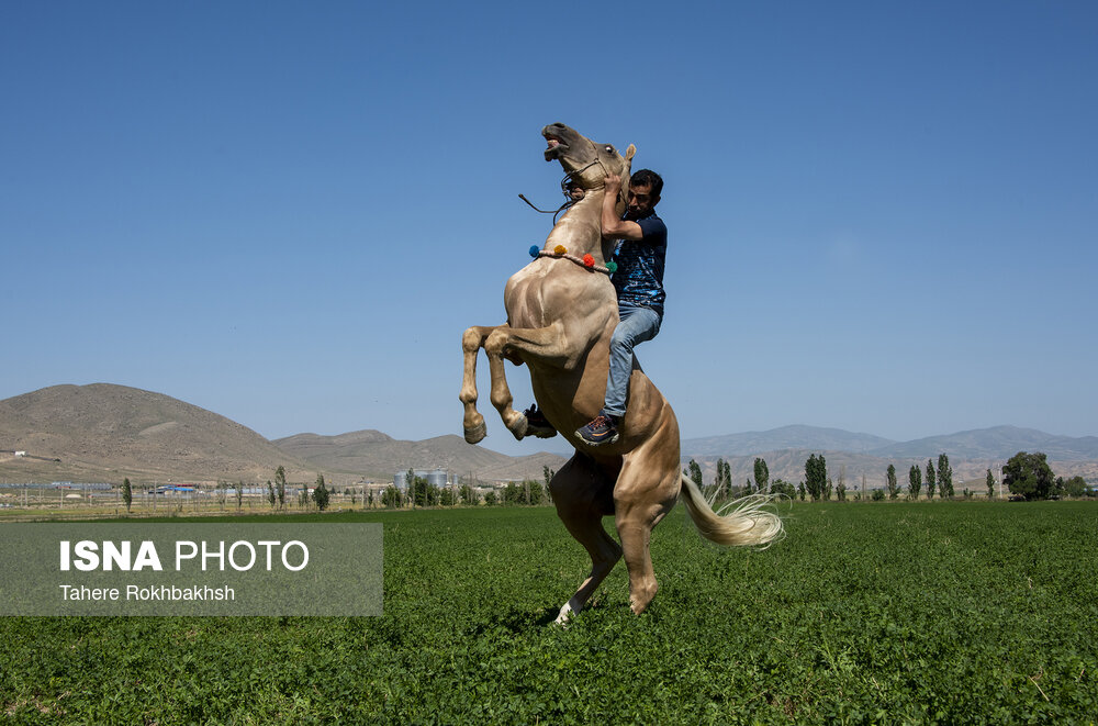 زندگی روستایی در خراسان شمالی